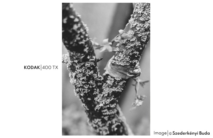 400tx (2)8